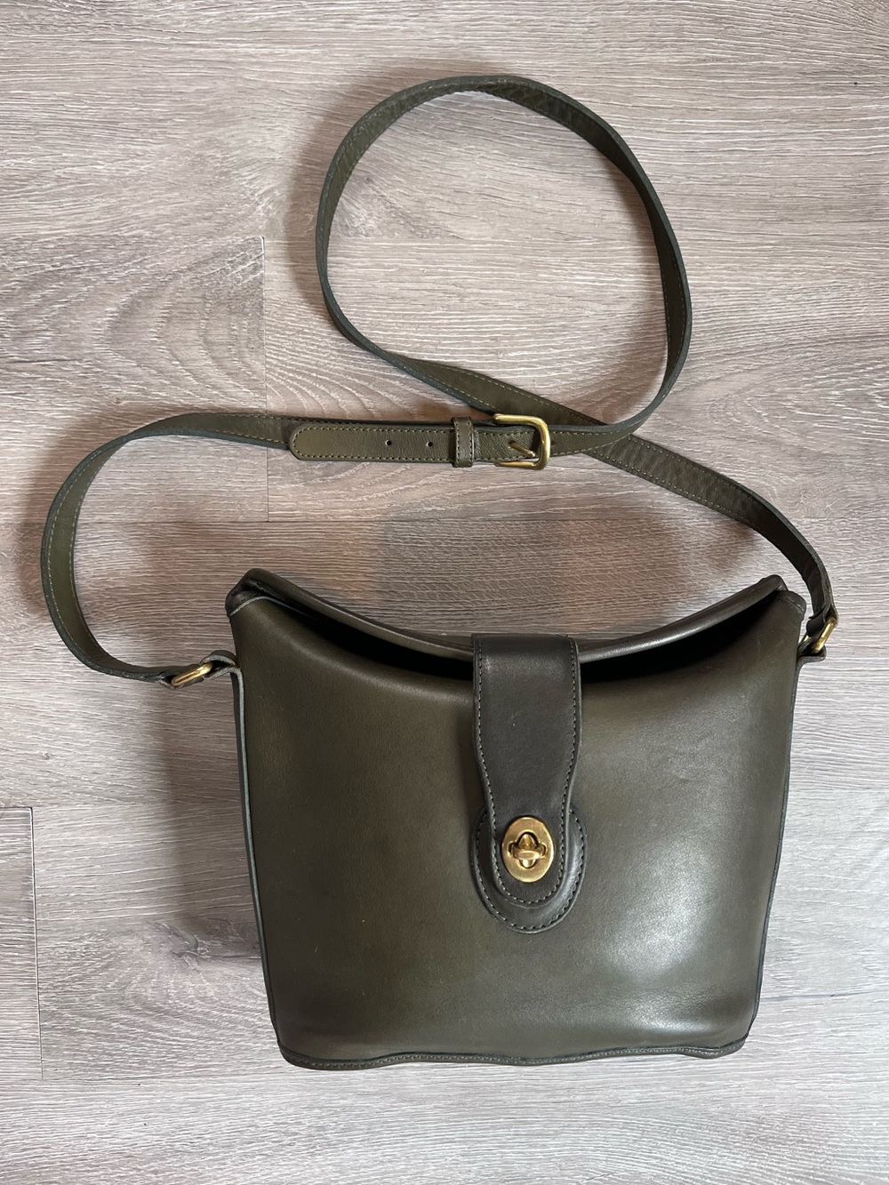 Coach Olive Green Leather Crossbody Bag with Gold Hardware